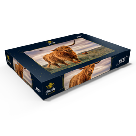 Darstellung des Puzzle Motivs Highland Kühe an der Nordküste Schottlands - Puzzleteile: 1000