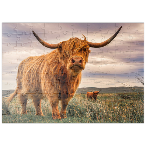 puzzleplate Striktes Paar Highland Kühe an der Nordküste Schottlands gefangen 100 Puzzle