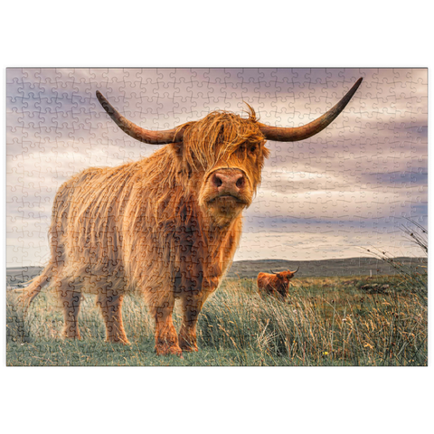 puzzleplate Striktes Paar Highland Kühe an der Nordküste Schottlands gefangen 500 Puzzle