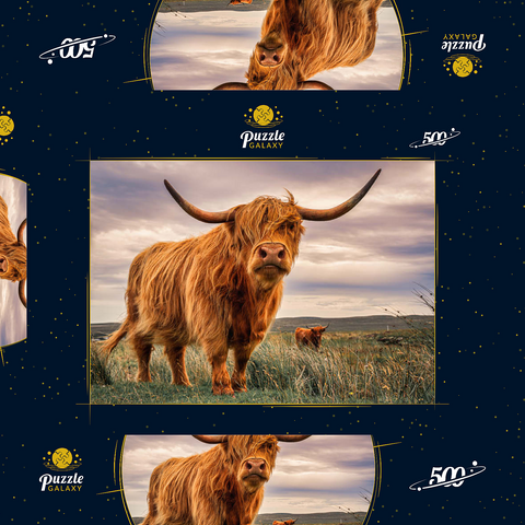 Striktes Paar Highland Kühe an der Nordküste Schottlands gefangen 500 Puzzle Schachtel 3D Modell