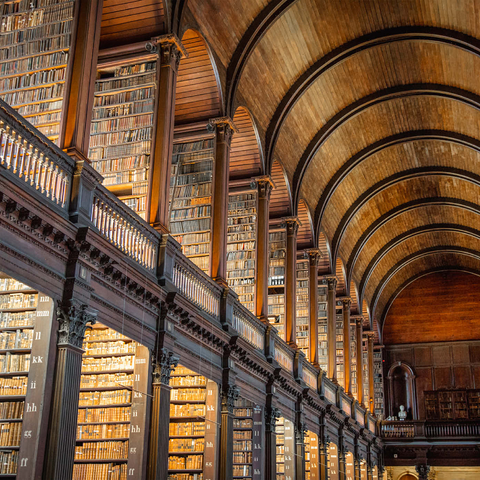 Bücher in der Long Room Library, Trinity College Dublin Irland 1000 Puzzle 3D Modell