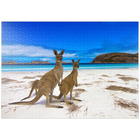 puzzleplate Esperence Lucky Bay Westaustralien Kangaroo Beach 1000 Puzzle