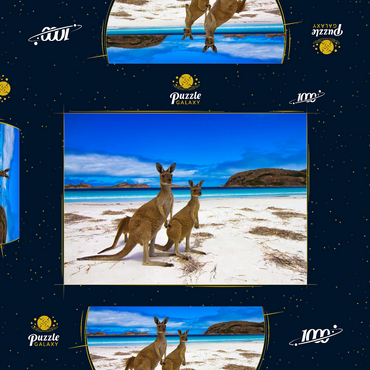 Esperence Lucky Bay Westaustralien Kangaroo Beach 1000 Puzzle Schachtel 3D Modell