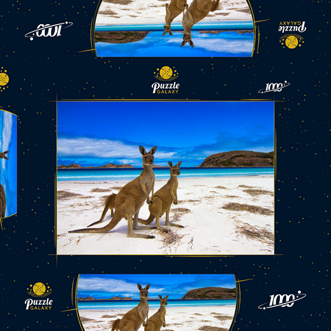 Esperence Lucky Bay Westaustralien Kangaroo Beach 1000 Puzzle Schachtel 3D Modell