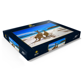 Darstellung des Puzzle Motivs Kangaroo Beach, Esperence Lucky Bay Westaustralien - Puzzleteile: 100