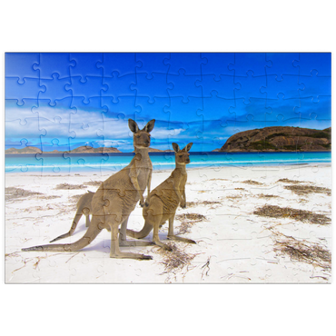 puzzleplate Esperence Lucky Bay Westaustralien Kangaroo Beach 100 Puzzle