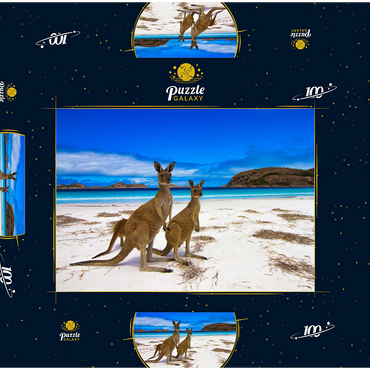 Esperence Lucky Bay Westaustralien Kangaroo Beach 100 Puzzle Schachtel 3D Modell