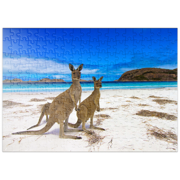 puzzleplate Esperence Lucky Bay Westaustralien Kangaroo Beach 200 Puzzle
