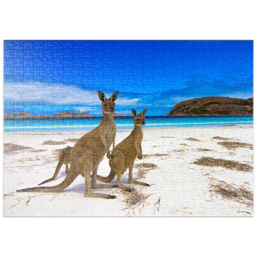 puzzleplate Esperence Lucky Bay Westaustralien Kangaroo Beach 500 Puzzle