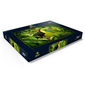 Alternative Darstellung des Puzzle-Motivs Tukan sitzend auf dem Ast im Wald, Costa Rica – Puzzleteile: 200