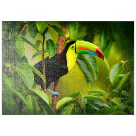 Darstellung des Puzzle-Motivs Tukan sitzend auf dem Ast im Wald, Costa Rica – Puzzleteile: 200