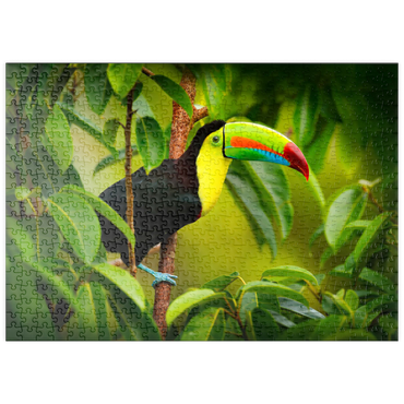 puzzleplate Costa Rica wild lebende Tiere. Tukan sitzend auf dem Ast im Wald, grüne Vegetation. Natur Urlaub in Mittelamerika. Keel-billed Tukan, Ramphastos sulfuratus. Tierwelt aus Costa Rica. 500 Puzzle