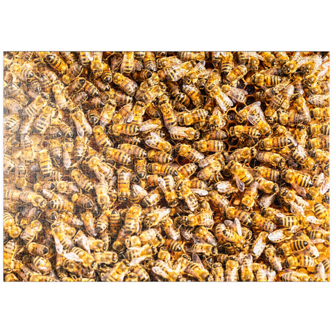 puzzleplate Arbeiter Honigbienen auf einem Rahmen aus einem Bienenstock. 1000 Puzzle