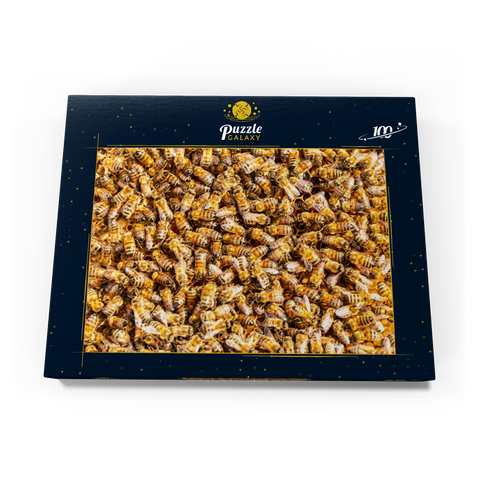 Arbeiter Honigbienen auf einem Rahmen aus einem Bienenstock. 100 Puzzle Schachtel Ansicht3