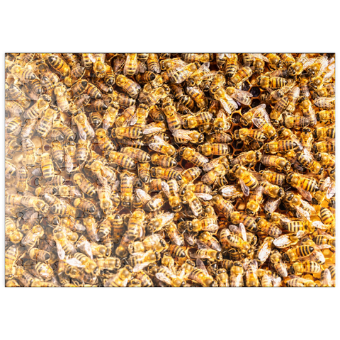 puzzleplate Arbeiter Honigbienen auf einem Rahmen aus einem Bienenstock. 100 Puzzle