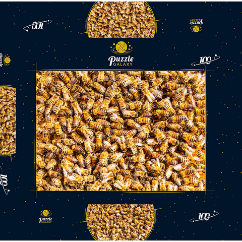 Arbeiter Honigbienen auf einem Rahmen aus einem Bienenstock. 100 Puzzle Schachtel 3D Modell