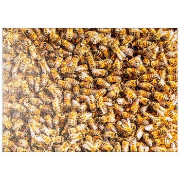 puzzleplate Arbeiter Honigbienen auf einem Rahmen aus einem Bienenstock. 200 Puzzle