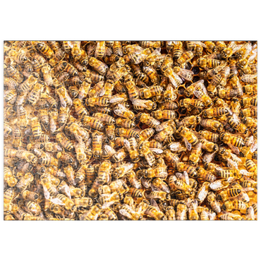 puzzleplate Arbeiter Honigbienen auf einem Rahmen aus einem Bienenstock. 500 Puzzle
