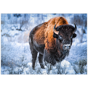 Darstellung des Puzzle-Motivs Amerikanischer Bison, kauert im Winter im Schnee, Yellowstone National Park – Puzzleteile: 1000