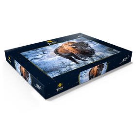 Darstellung des Puzzle Motivs Amerikanischer Bison, kauert im Winter im Schnee, Yellowstone National Park - Puzzleteile: 100