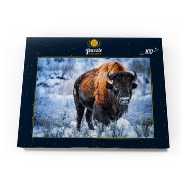 Amerikanischer Bison, kauert im Winter im Schnee, Yellowstone National Park 100 Puzzle Schachtel Ansicht3