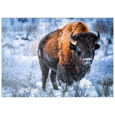 puzzleplate Amerikanischer Bison, kauert im Winter im Schnee, Yellowstone National Park 100 Puzzle