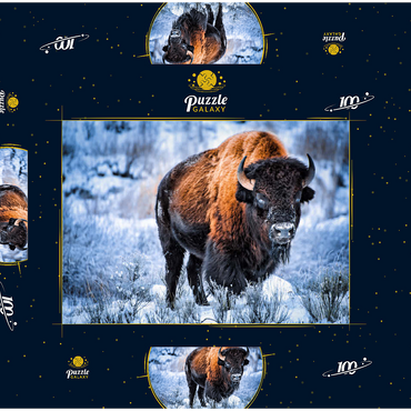 Amerikanischer Bison, kauert im Winter im Schnee, Yellowstone National Park 100 Puzzle Schachtel 3D Modell