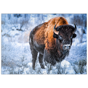 Darstellung des Puzzle-Motivs Amerikanischer Bison, kauert im Winter im Schnee, Yellowstone National Park – Puzzleteile: 200