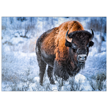 puzzleplate Amerikanischer Bison, kauert im Winter im Schnee, Yellowstone National Park 200 Puzzle