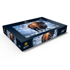 Darstellung des Puzzle Motivs Amerikanischer Bison, kauert im Winter im Schnee, Yellowstone National Park - Puzzleteile: 500