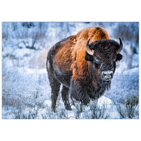 Darstellung des Puzzle-Motivs Amerikanischer Bison, kauert im Winter im Schnee, Yellowstone National Park – Puzzleteile: 500