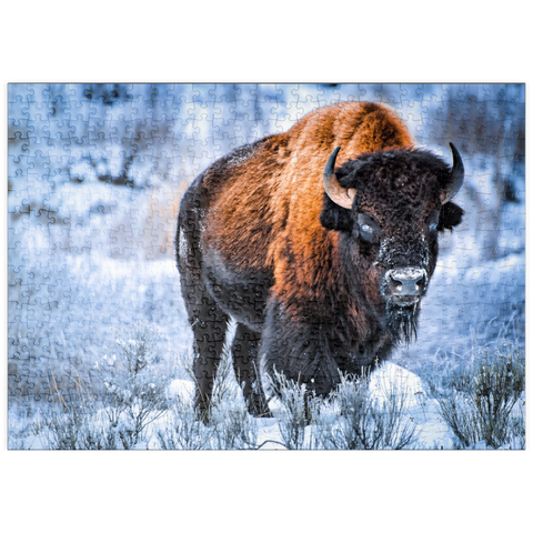 puzzleplate Amerikanischer Bison, kauert im Winter im Schnee, Yellowstone National Park 500 Puzzle