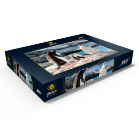 Alternative Darstellung des Puzzle-Motivs Starker Eselspinguin - Antarktis – Puzzleteile: 1000