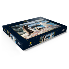 Darstellung des Puzzle Motivs Starker Eselspinguin - Antarktis - Puzzleteile: 200