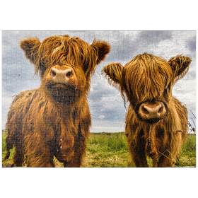 Darstellung des Puzzle Motivs Zwei süße Hochlandkühe - Puzzleteile: 1000