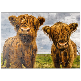 Darstellung des Puzzle Motivs Zwei süße Hochlandkühe - Puzzleteile: 100