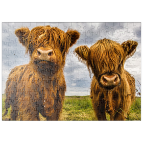 Darstellung des Puzzle Motivs Zwei süße Hochlandkühe - Puzzleteile: 200