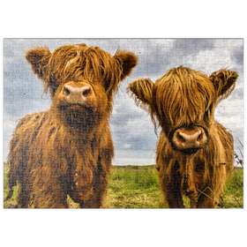 Darstellung des Puzzle-Motivs Zwei süße Hochlandkühe – Puzzleteile: 500