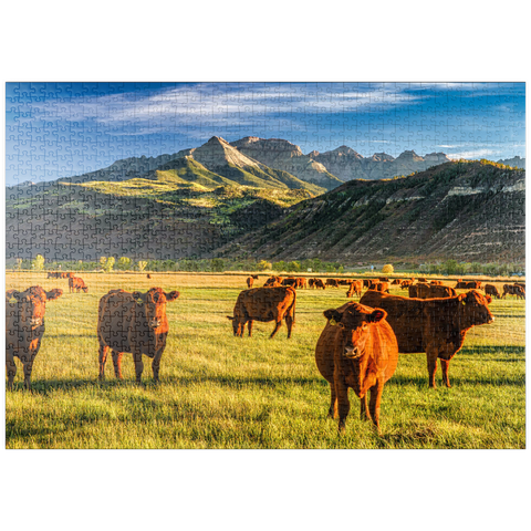 puzzleplate Herbst auf einer Viehranch in Colorado bei Ridgway - County Road 12 1000 Puzzle