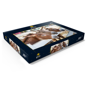 Darstellung des Puzzle Motivs Drei Esel auf dem Bauernhof - Puzzleteile: 100
