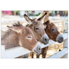 Darstellung des Puzzle Motivs Drei Esel auf dem Bauernhof - Puzzleteile: 100