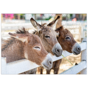 Darstellung des Puzzle-Motivs Drei Esel auf dem Bauernhof – Puzzleteile: 500