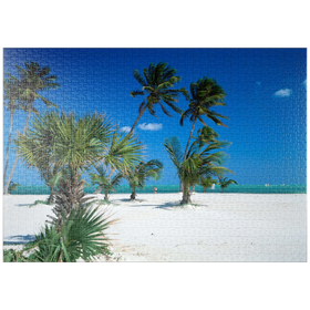 Darstellung des Puzzle-Motivs Strand am Key Biscayne, Miami, Florida, USA – Puzzleteile: 1000