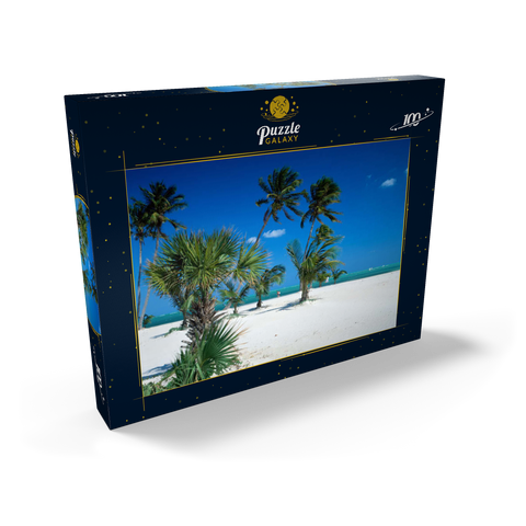 Strand am Key Biscayne, Miami, Florida, USA 100 Puzzle Schachtel Ansicht2