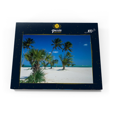 Strand am Key Biscayne, Miami, Florida, USA 100 Puzzle Schachtel Ansicht3