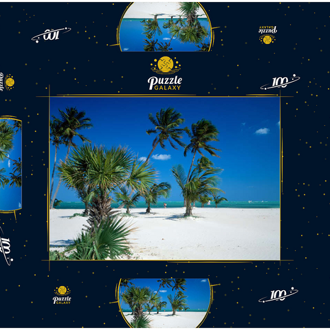 Strand am Key Biscayne, Miami, Florida, USA 100 Puzzle Schachtel 3D Modell
