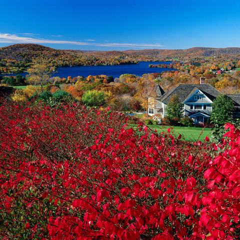 Herbststimmung am Lake Waramaug, Connecticut, USA 100 Puzzle 3D Modell