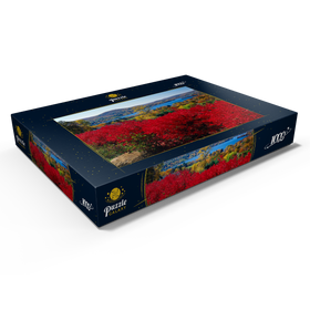 Alternative Darstellung des Puzzle-Motivs Herbststimmung am Lake Waramaug, Indian Summer, Connecticut, USA – Puzzleteile: 1000