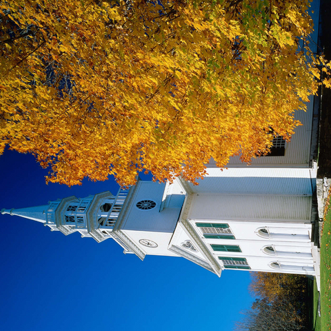 Kirche mit Ahornbaum in Warren, Connecticut, USA 1000 Puzzle 3D Modell