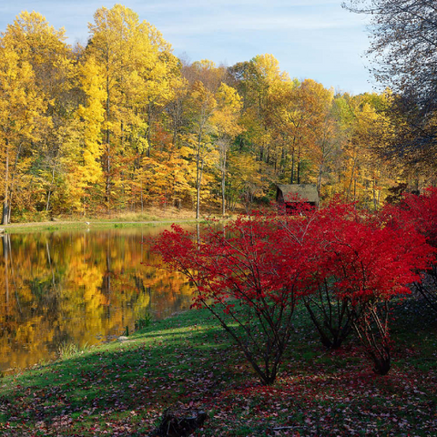 Herbstlandschaft bei Ridgefield, Connecticut, USA 100 Puzzle 3D Modell